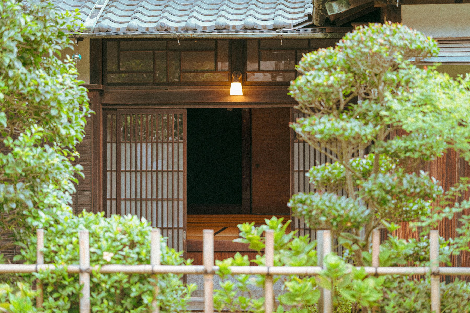 庭木に囲まれた日本家屋